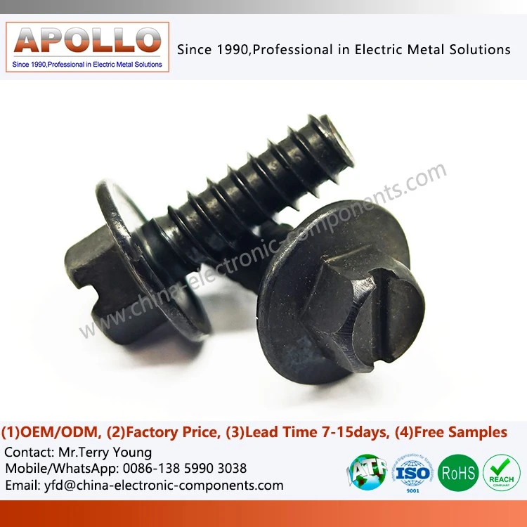 Hex Head Screw with Washer