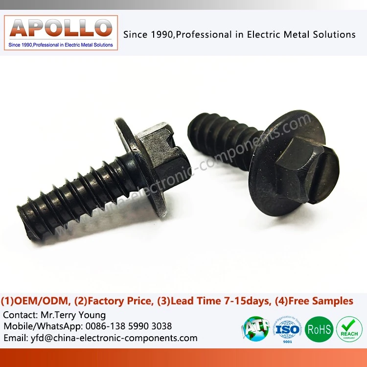 Hex Head Screw with Washer Assembly